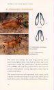 Mammals of Southern Africa and their Tracks & Signs 