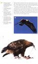 Vögel der Alpen: Der Bestimmungsführer für alle Arten [Birds of the Alps: Identification Guide for all Species]