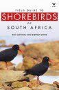 Field Guide to Shorebirds of South Africa