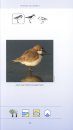 Field Guide to Shorebirds of South Africa