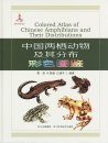 Colored Atlas of Chinese Amphibians and Their Distributions  [Chinese]