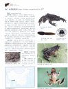 Colored Atlas of Chinese Amphibians and Their Distributions  [Chinese]