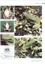 Colored Atlas of Chinese Amphibians and Their Distributions  [Chinese]