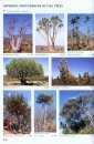 Field Guide to Trees of Southern Africa