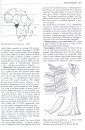Plant Resources of Tropical Africa, Volume 7, Part 2