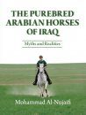 The Purebred Arabian Horses of Iraq