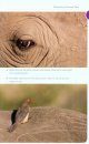 Top Wildlife Photography Spots in South Africa