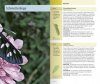Welcher Schmetterling ist das? [The Kosmos Guide to Butterflies]