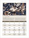 Bird Atlas 2007-11