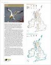 Bird Atlas 2007-11