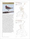 Bird Atlas 2007-11