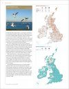 Bird Atlas 2007-11
