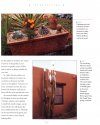 Cacti: An Illustrated Guide to Varieties, Cultivation and Care