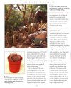 Cacti: An Illustrated Guide to Varieties, Cultivation and Care