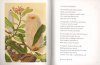 Little Book of Banksias