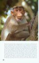 A Pictorial Guide to Non-human Primates of India