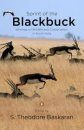 Sprint of the Blackbuck