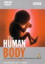 The Making of The Human Body (All Regions)