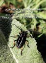 Longhorns of the Tribe Dorcadionini (Coleoptera, Cerambycidae) of Kazakhstan and Middle Asia