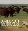 George Catlin's American Buffalo