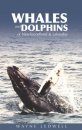 Whales and Dolphins of Newfoundland & Labrador