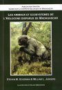 Les Animaux et Ecosystemes de l'Holocene Disparus de Madagascar [Extinct Madagascar]