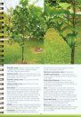 A Field Guide to the Native Garden @ HortPark