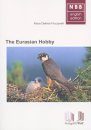 The Eurasian Hobby (Falco subbuteo)