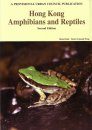 Hong Kong Amphibians and Reptiles