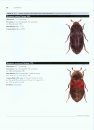 Atlas of Stored-Product Insects and Mites