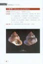 Zhejiang Dongtou Haichan Beilei Tuzhi [Atlas of Marine Molluscs in Dongtou, Zhejiang] [Chinese]