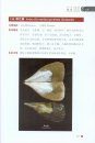 Zhejiang Dongtou Haichan Beilei Tuzhi [Atlas of Marine Molluscs in Dongtou, Zhejiang] [Chinese]