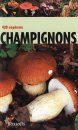 Champignons [French]