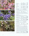 Dream Plants for the Natural Garden