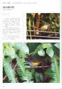 Field Guide to the Birds of China (3-Volume Set) [Chinese]