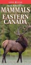 Quick Reference to Mammals of Eastern Canada