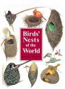 Birds' Nests of the World