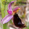 Ophrys d'Italia [French / Italian]