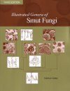 Illustrated Genera of Smut Fungi