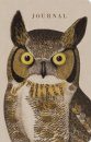 Natural Histories Journal: Owl