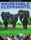 Incredible Elephants