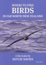 Where to Find Birds in Far North New Zealand