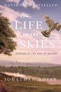 The Life of the Skies
