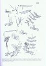 Steyermark's Flora of Missouri (3-Volume Set)
