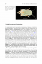 Mites: Ecology, Evolution & Behaviour