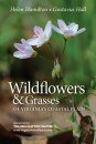 Wildflowers & Grasses of Virginia's Coastal Plain