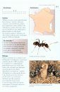 Fourmis de France, de Belgique et du Luxembourg [The Ants of France, Belgium, and Luxembourg]