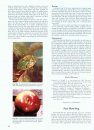 Compendium of Apple and Pear Diseases and Pests