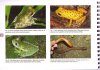 Color Catalogue for Field Biologists