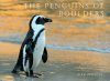 The Penguins of Boulders